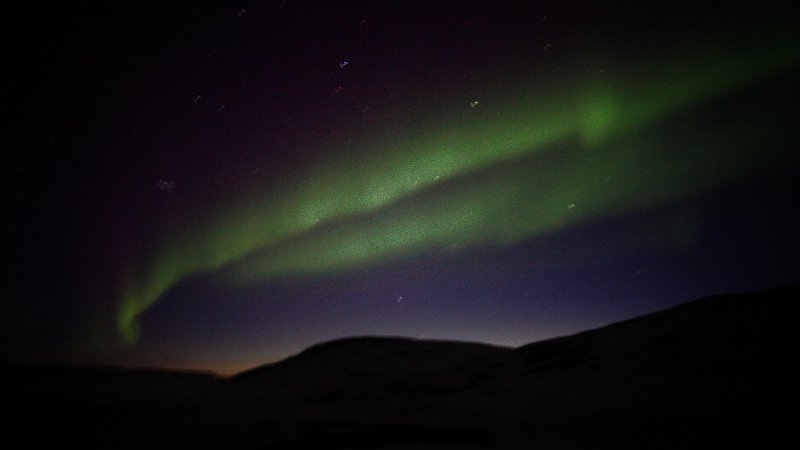 Aurora (01).JPG